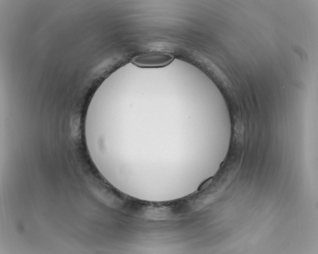 X0000112390403200909032018