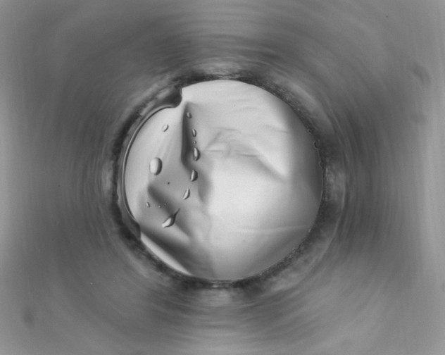 X0000112390404200909032018