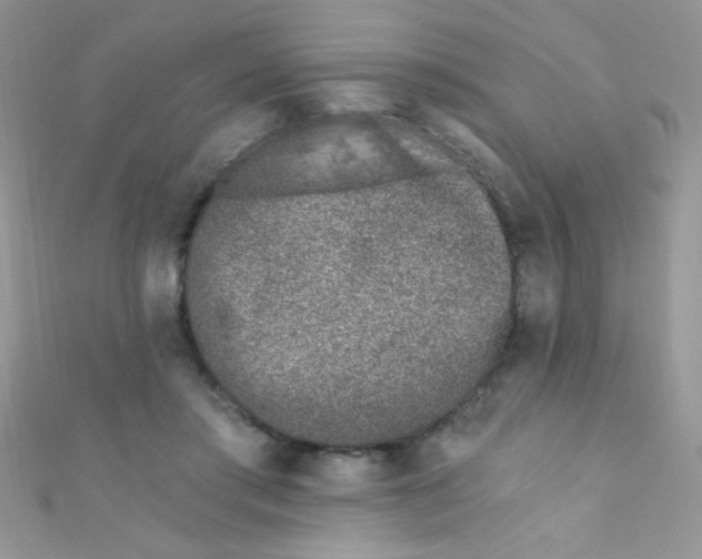X0000112390405200909032018