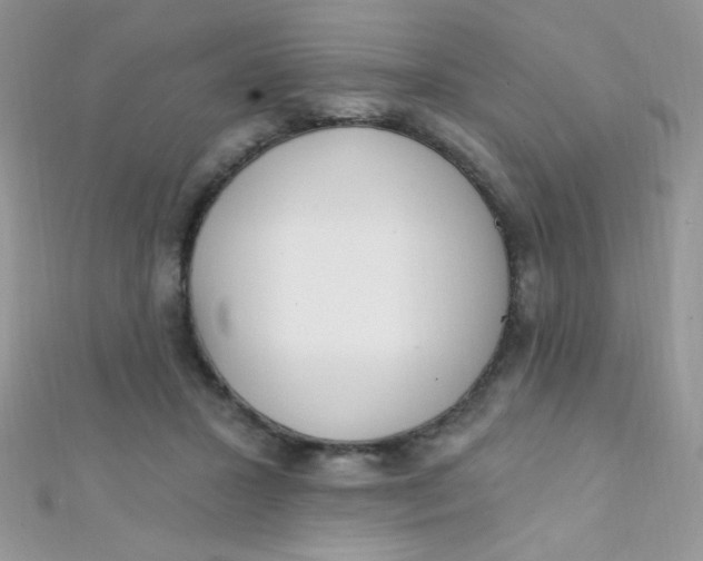 X0000112390407200909032018