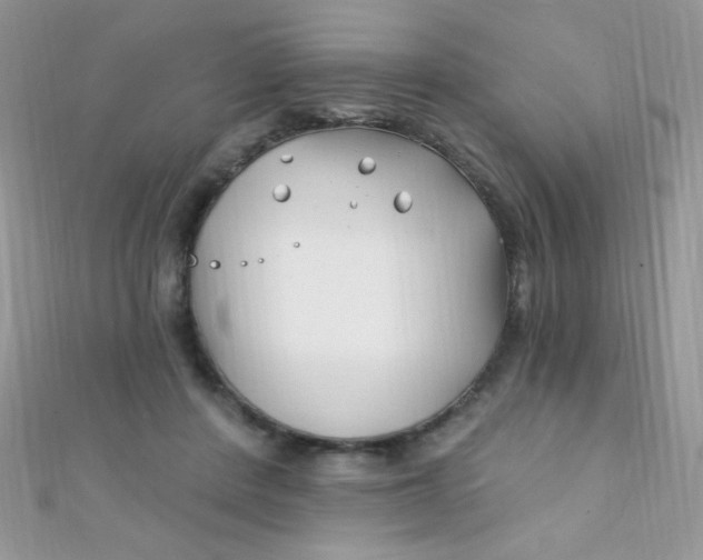 X0000112390408200909032018