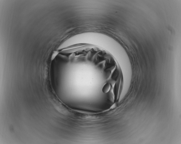 X0000112390413200909032018