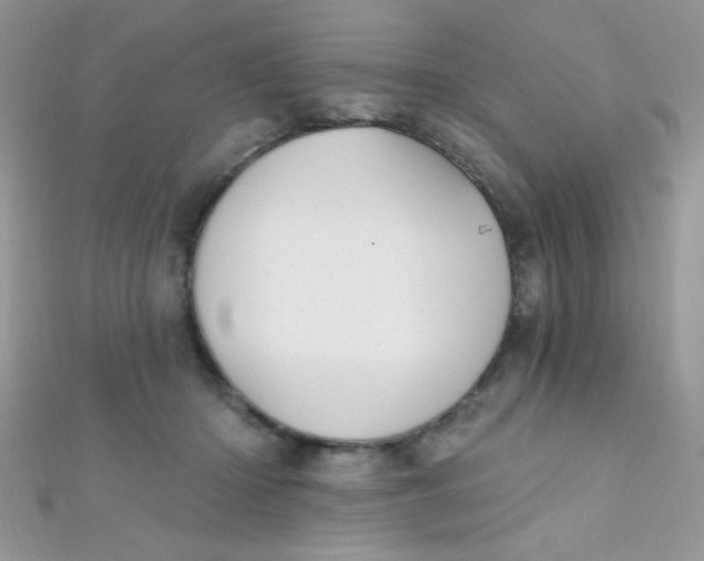 X0000112390414200909032018