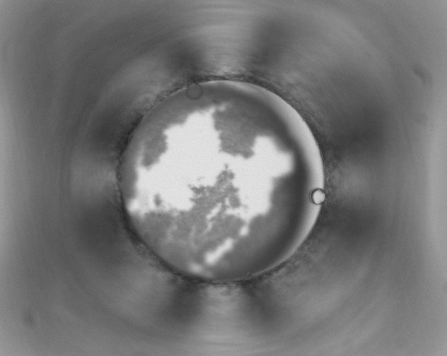 X0000112390415200909032018