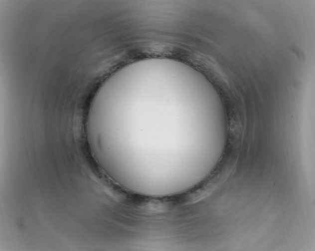 X0000112390416200909032018