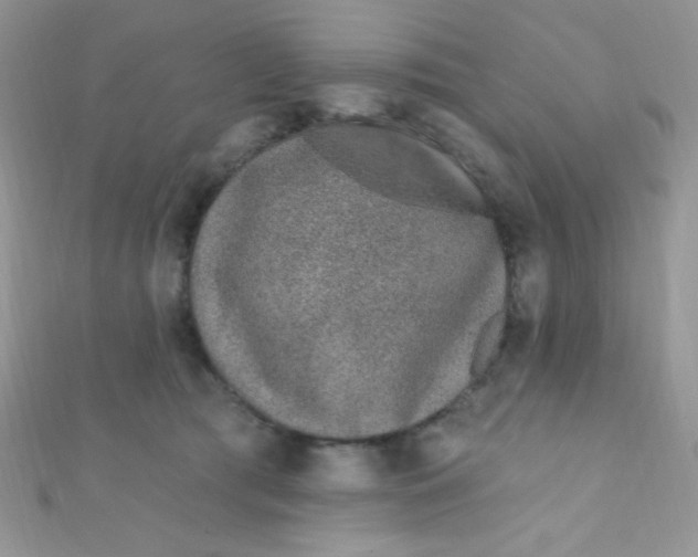 X0000112390417200909032018