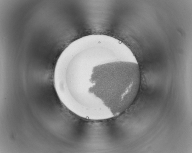 X0000112390419200909032018