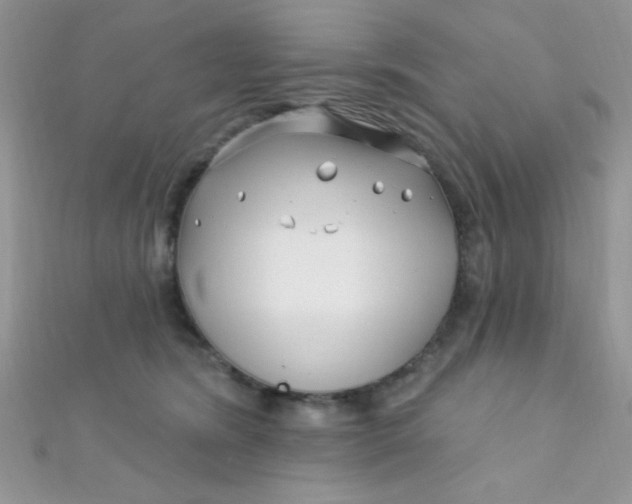 X0000112390420200909032018