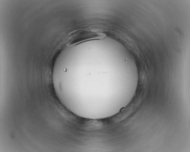 X0000112390421200909032018