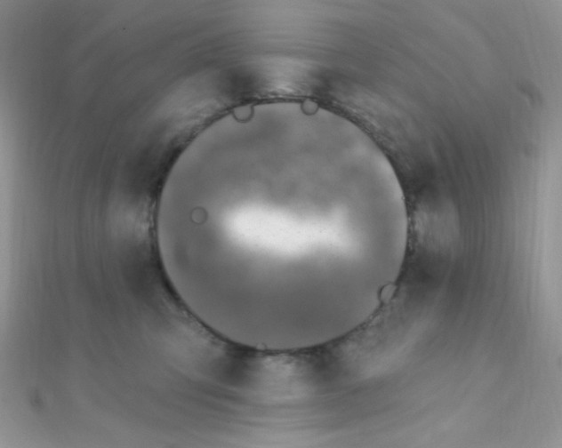 X0000112390423200909032018
