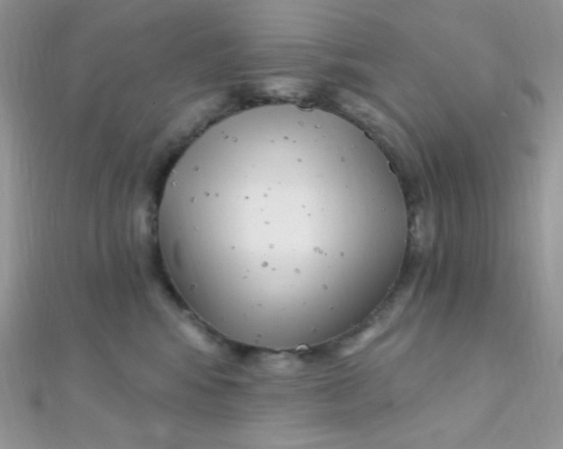 X0000112390424200909032017