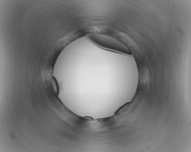 X0000112390425200909032017