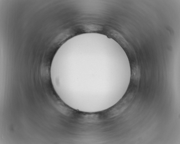 X0000112390426200909032017