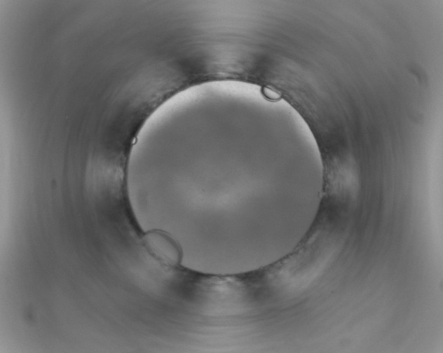 X0000112390427200909032017