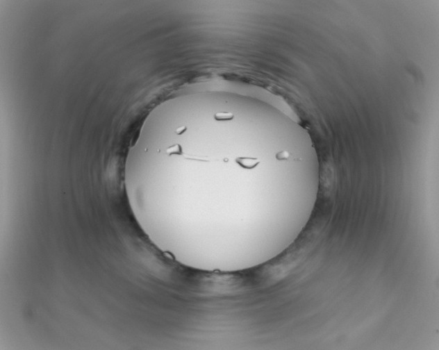 X0000112390428200909032017