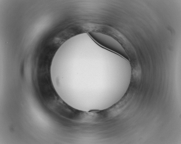 X0000112390429200909032017