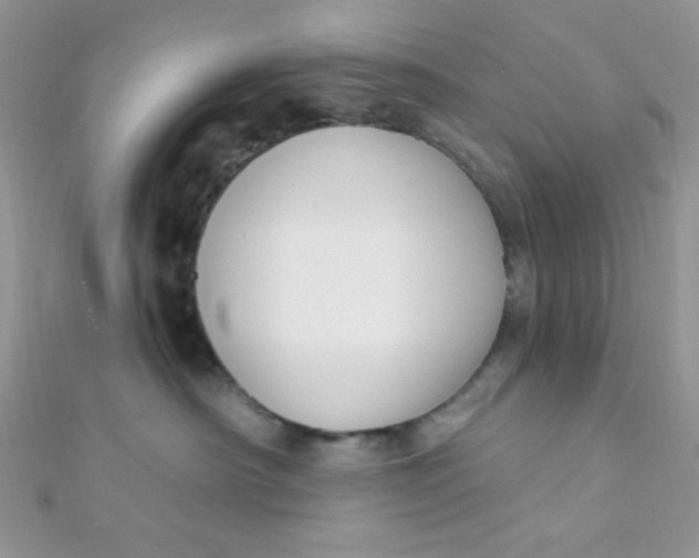 X0000112390430200909032017