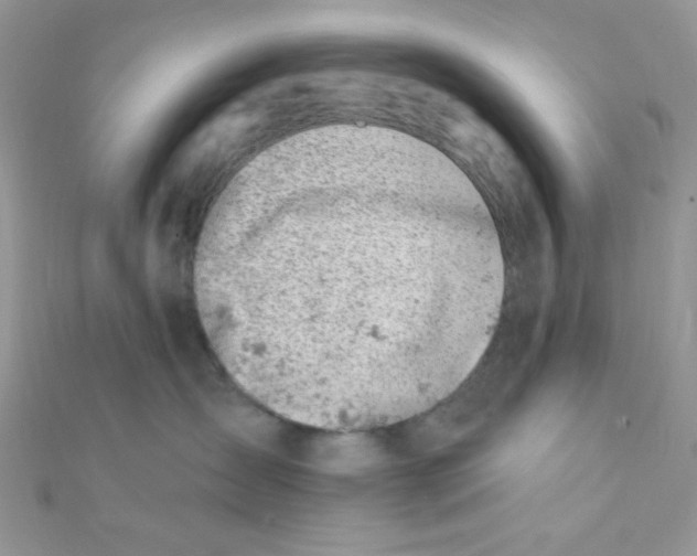 X0000112390431200909032017