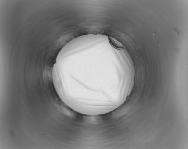 X0000112390432200909032017