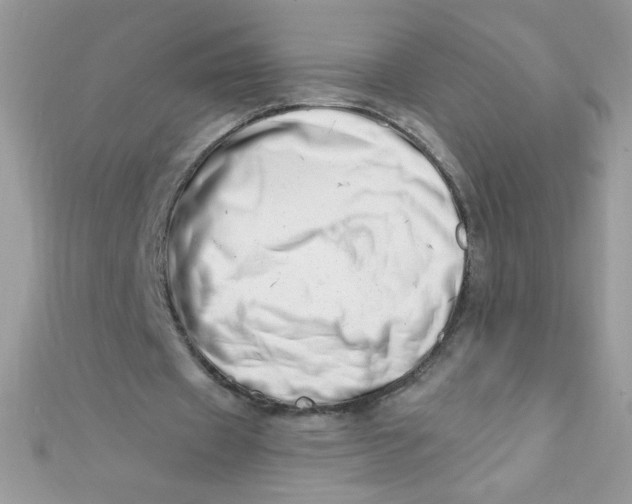 X0000112390433200909032017