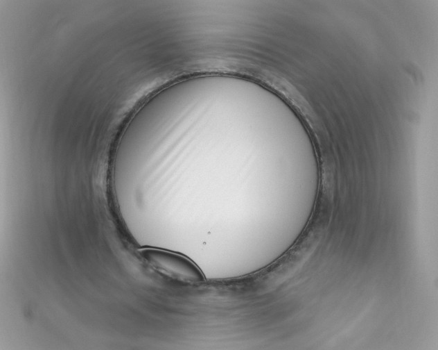 X0000112390434200909032017