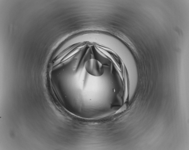 X0000112390436200909032017