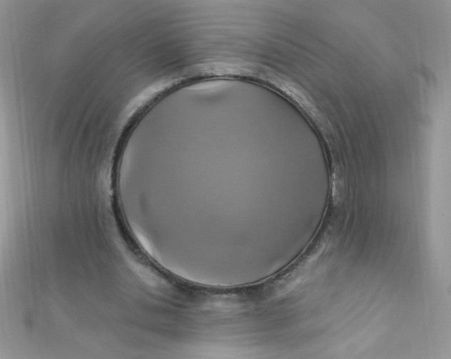 X0000112390438200909032017