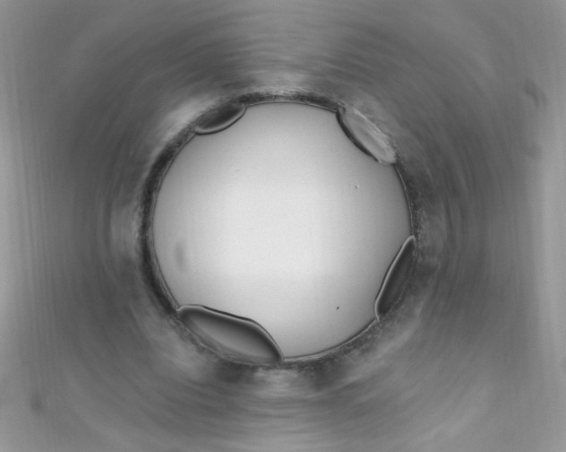 X0000112390440200909032017