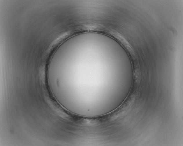 X0000112390442200909032017