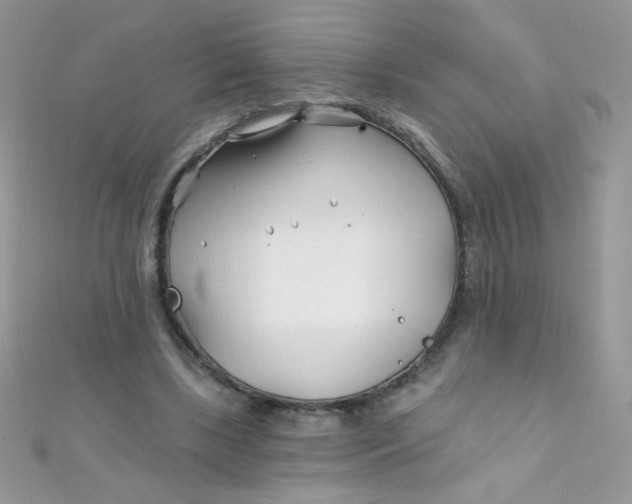 X0000112390443200909032017