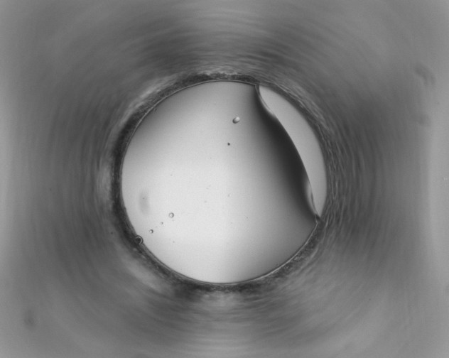 X0000112390444200909032017