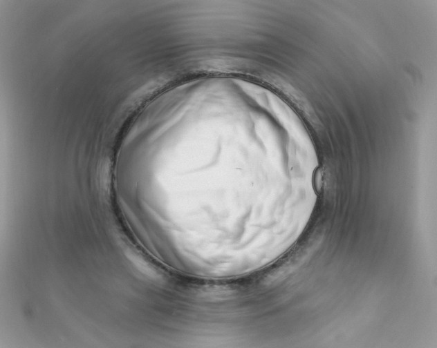 X0000112390445200909032017