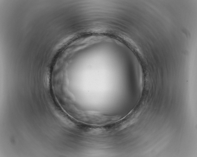 X0000112390446200909032017