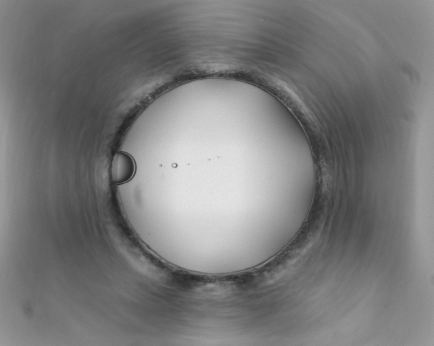 X0000112390447200909032017