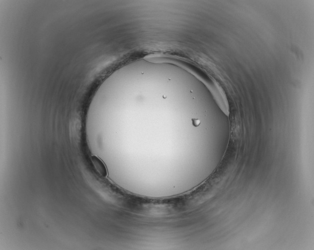 X0000112390448200909032017