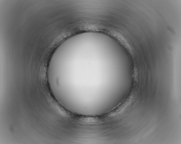 X0000112390449200909032017