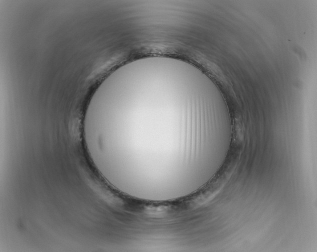 X0000112390450200909032017