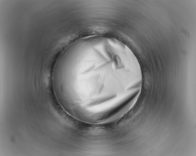 X0000112390451200909032017