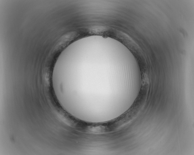 X0000112390452200909032017