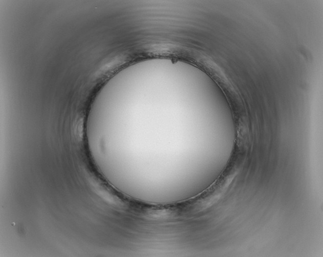 X0000112390454200909032017