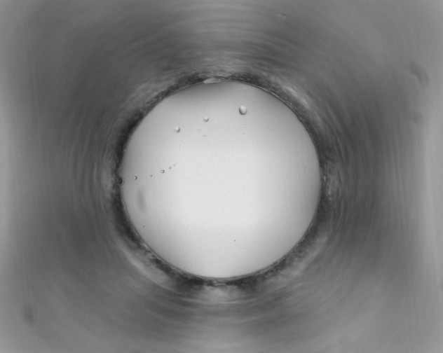 X0000112390455200909032017