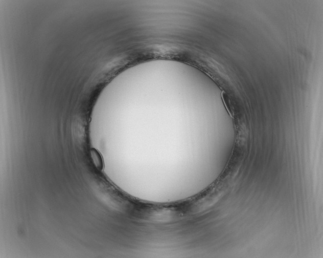 X0000112390456200909032017