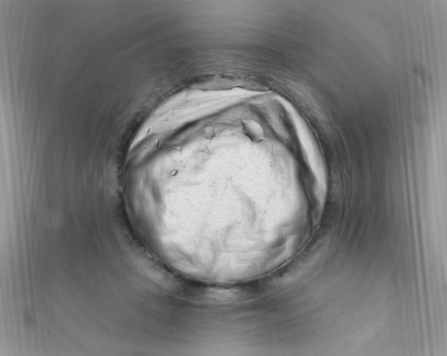 X0000112390457200909032017