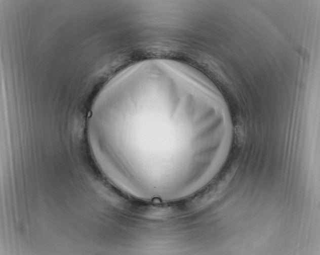 X0000112390458200909032017