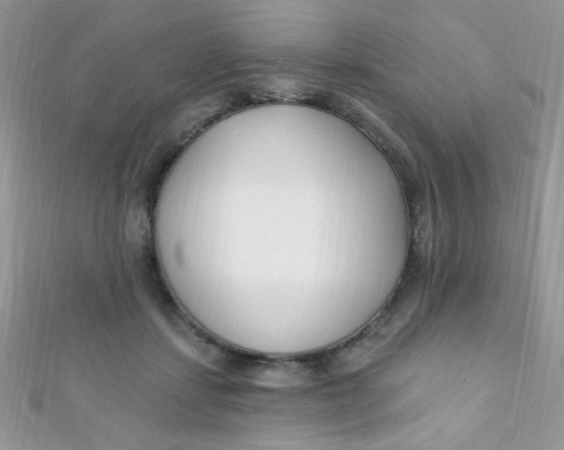 X0000112390459200909032017