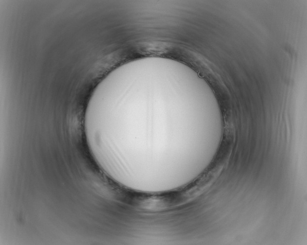 X0000112390460200909032017