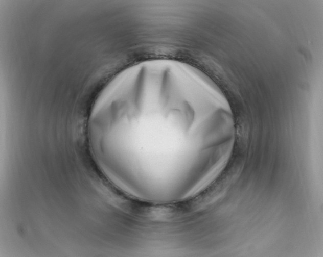 X0000112390462200909032017