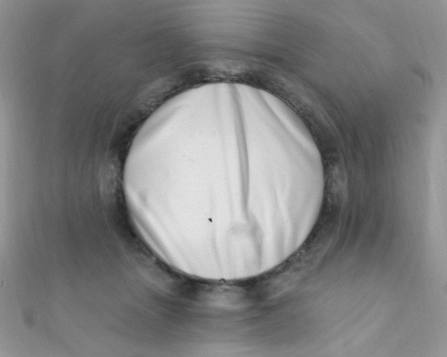 X0000112390463200909032017