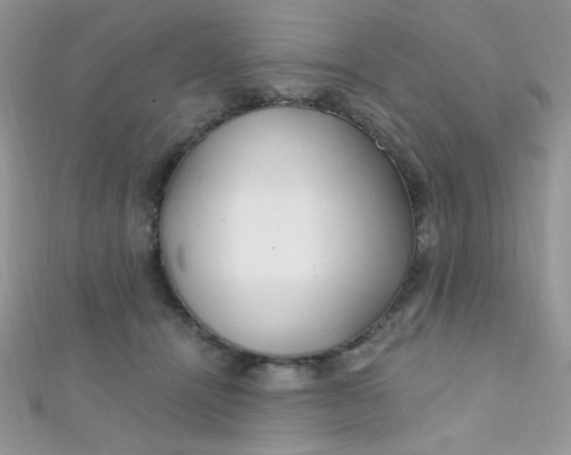 X0000112390464200909032017