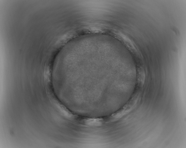 X0000112390465200909032017